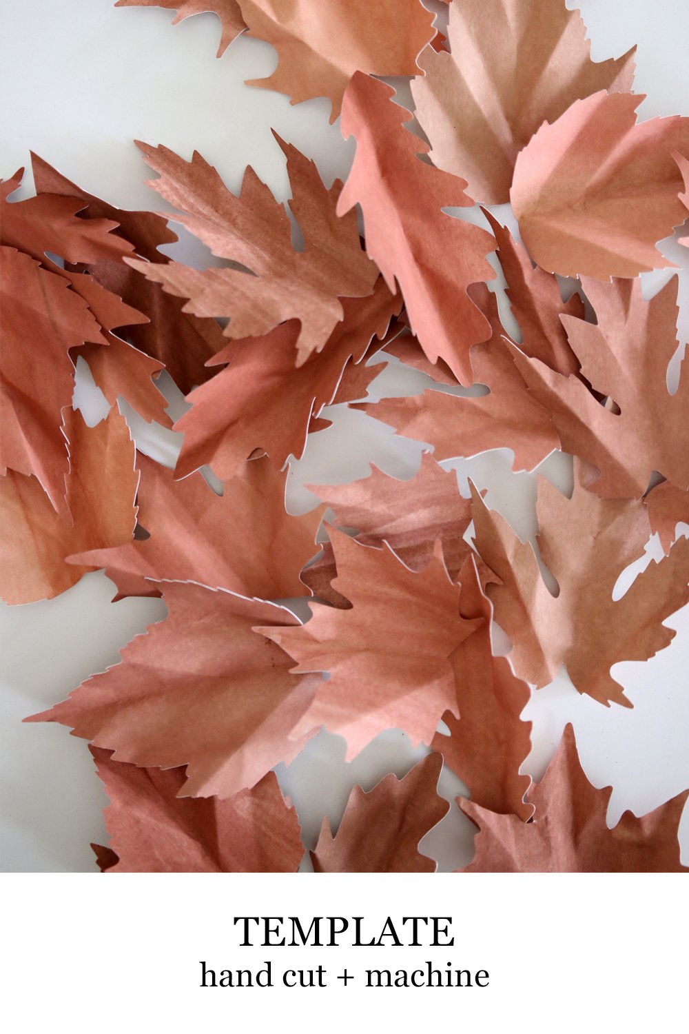 Fall Leaves