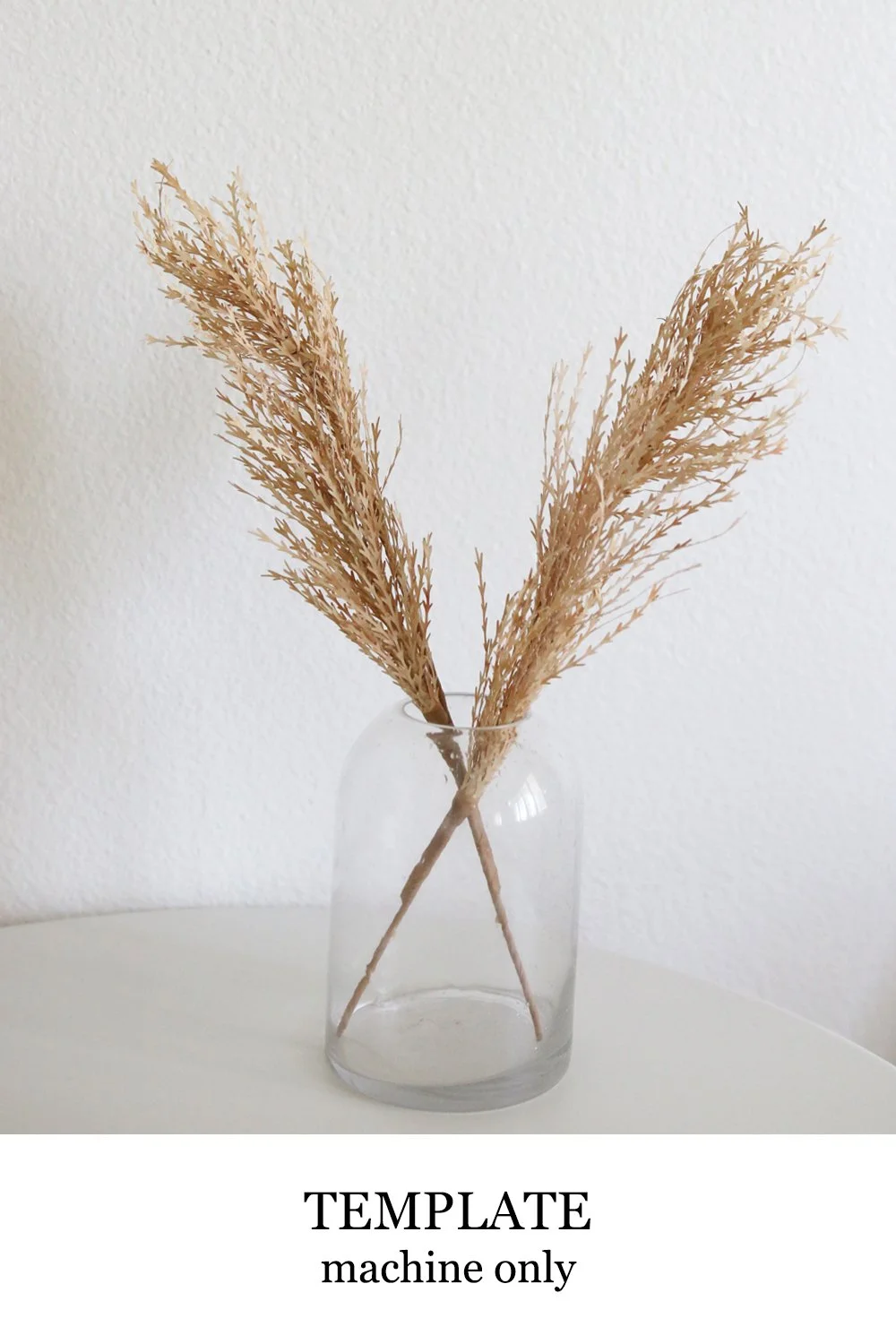 Pampas Grass