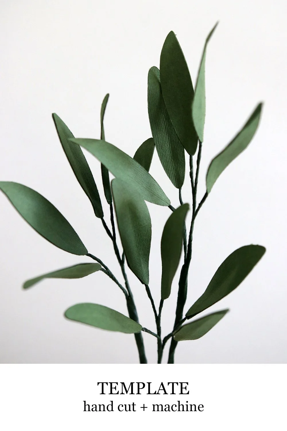 Olive Leaves Template