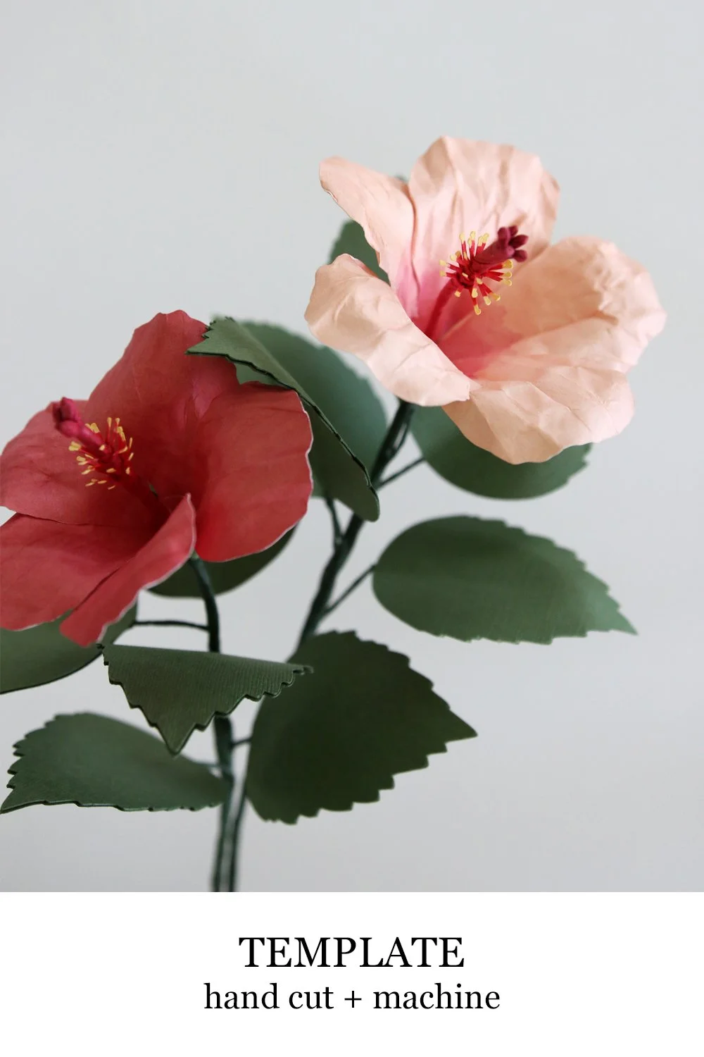 Hibiscus Template