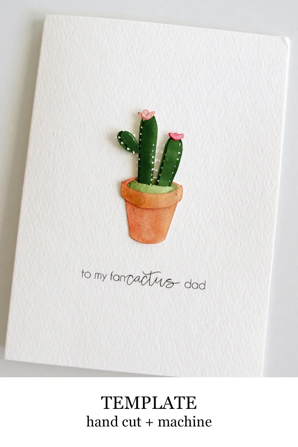 cactus2d.jpg