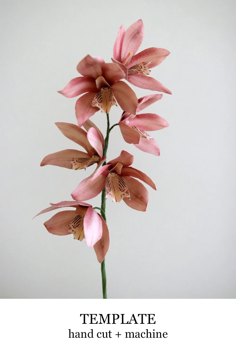 orchid.jpg