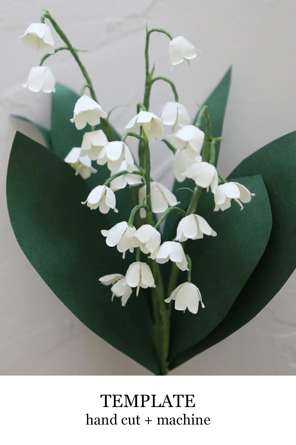 lilyofthevalley.jpg