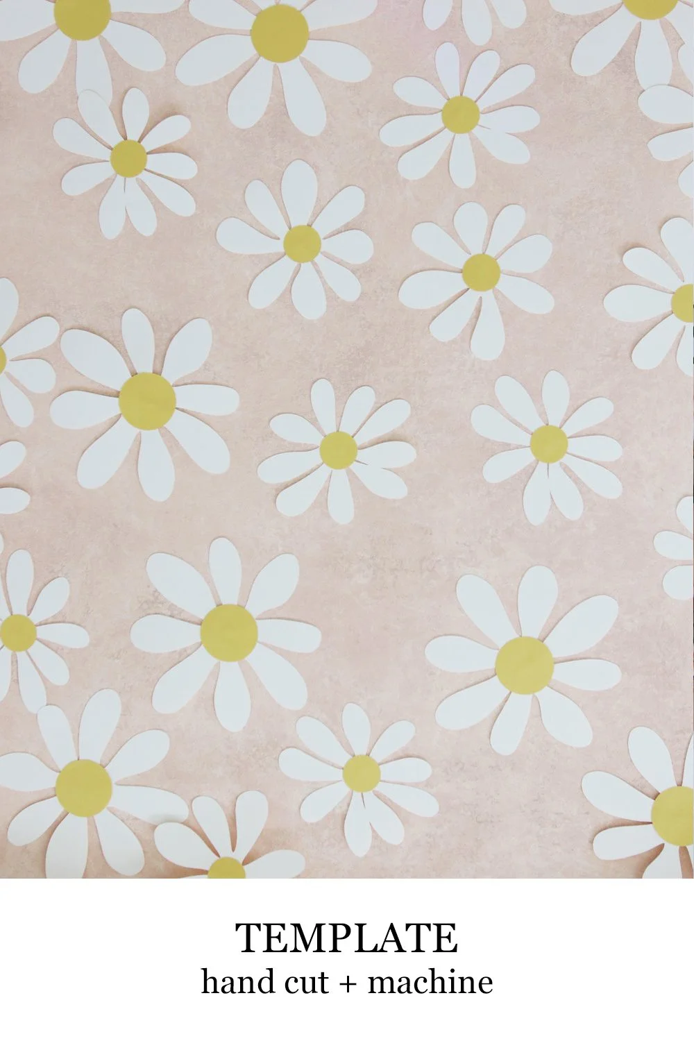 daisybackrop.jpg