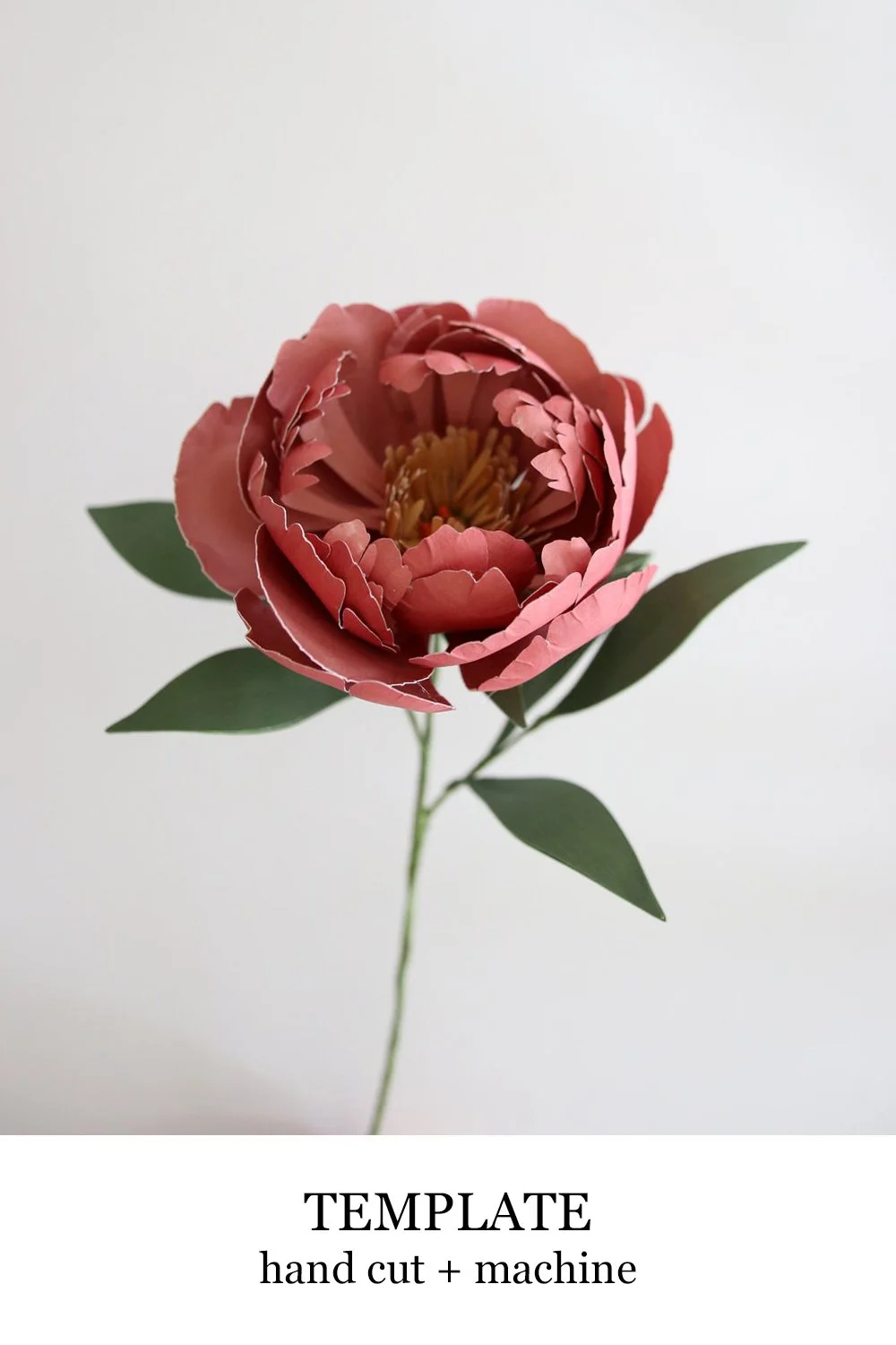 peony copy.jpg