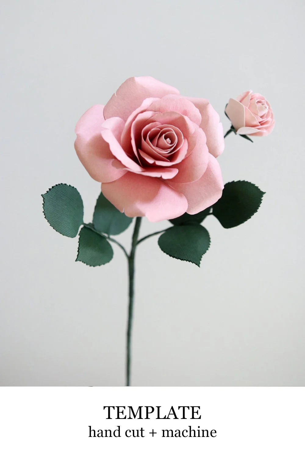 rose copy.jpg