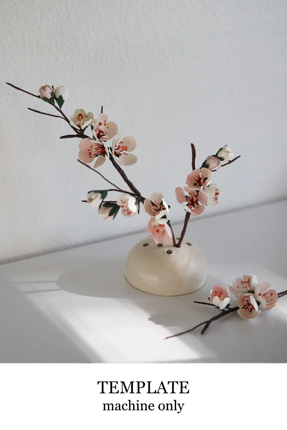 cherry.jpg