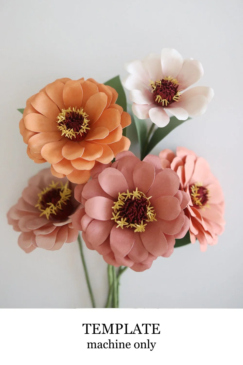 zinnia.jpg