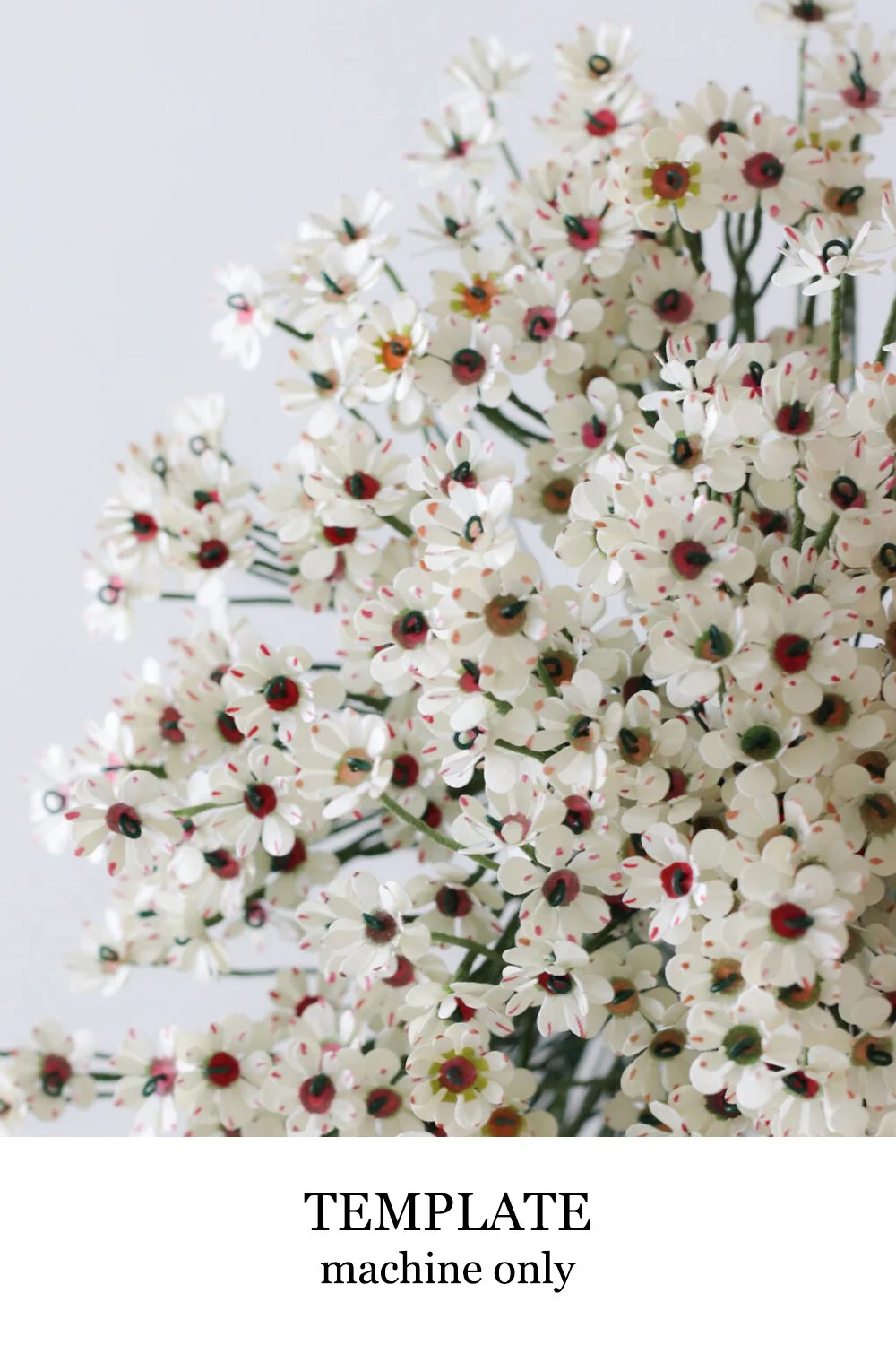 Wax Flower — Handmade by Sara Kim