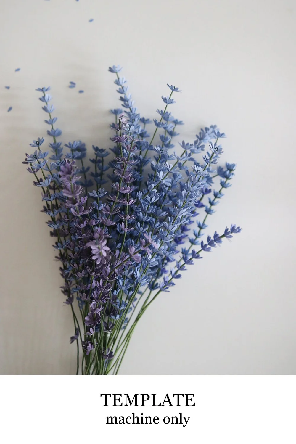lavender.jpg