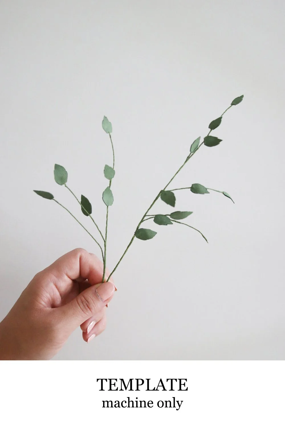 leaves.jpg