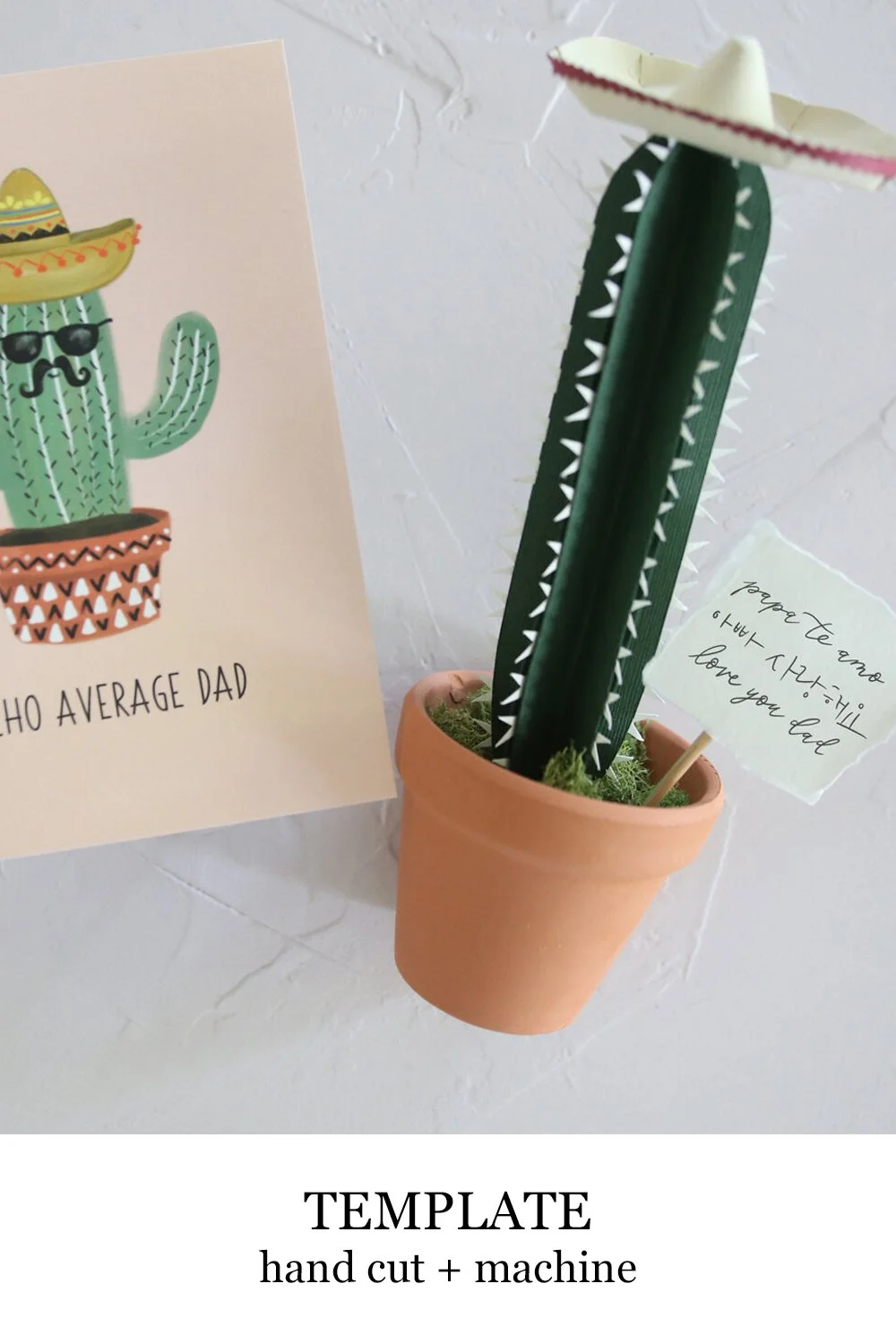 cactus.jpg