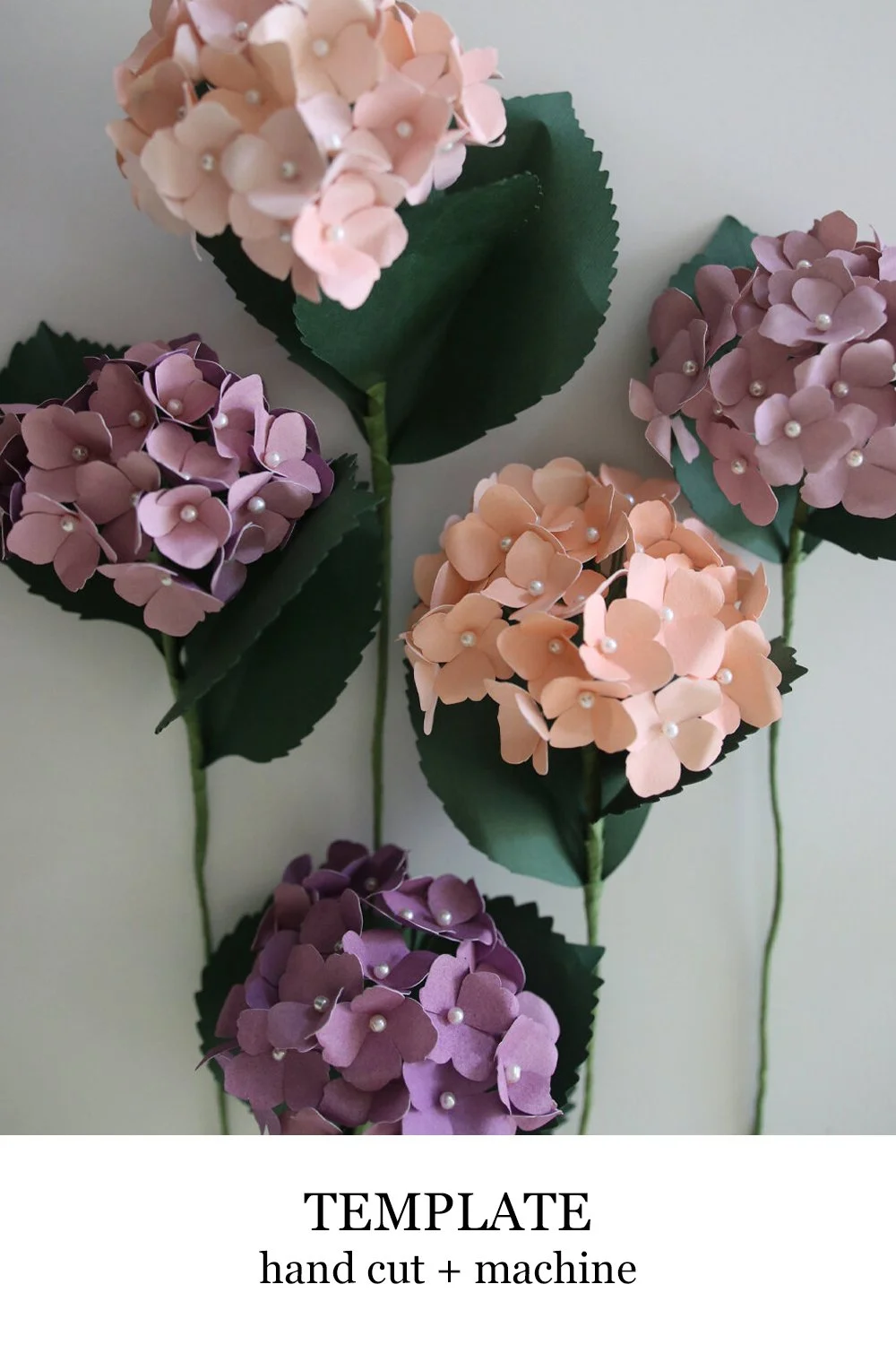 hydrangea.jpg