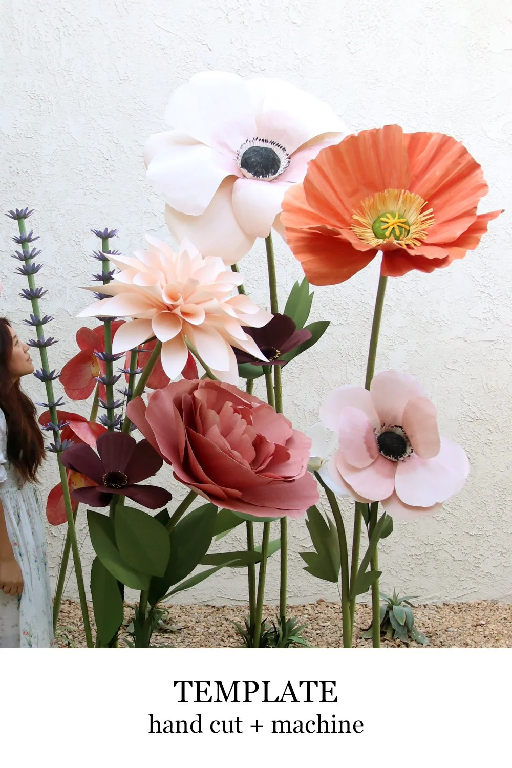 Giant Poppy