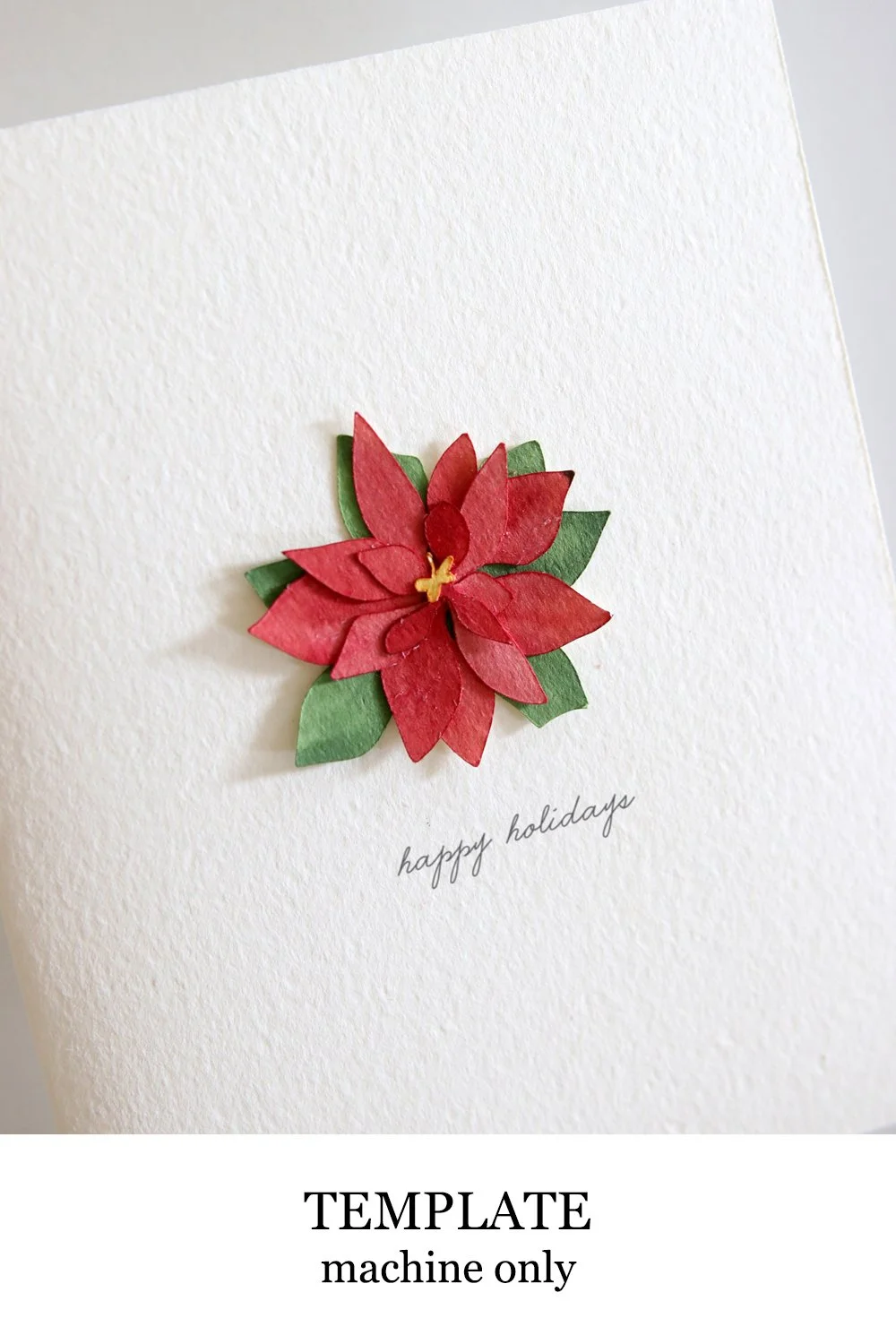 Poinsettia 2D