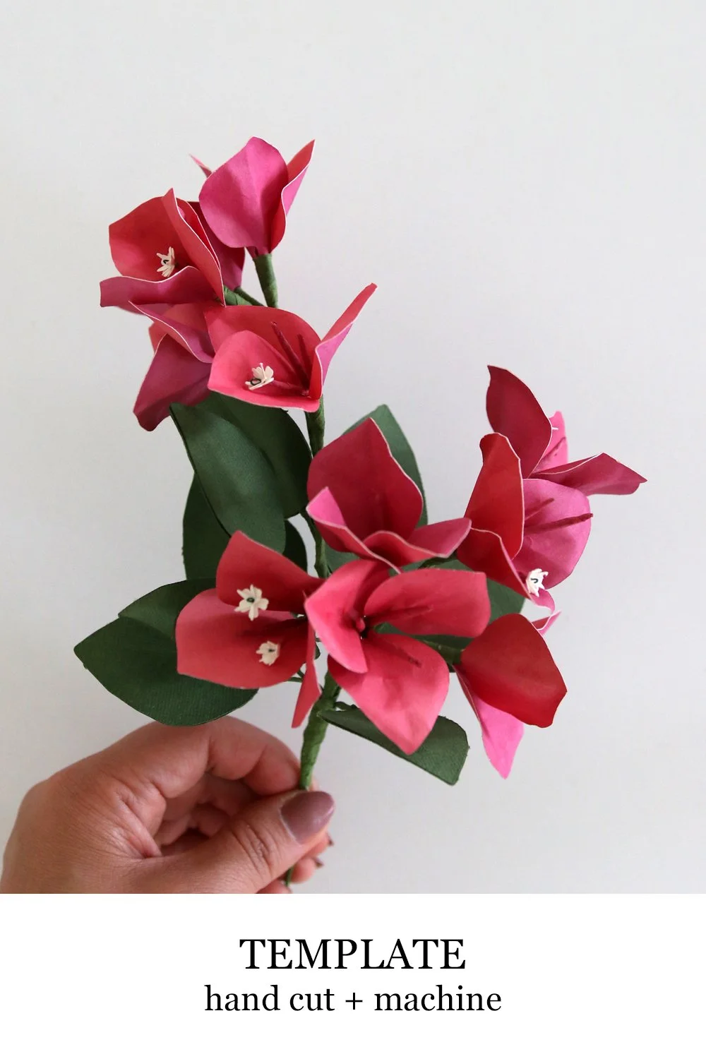 Bougainvillea Template