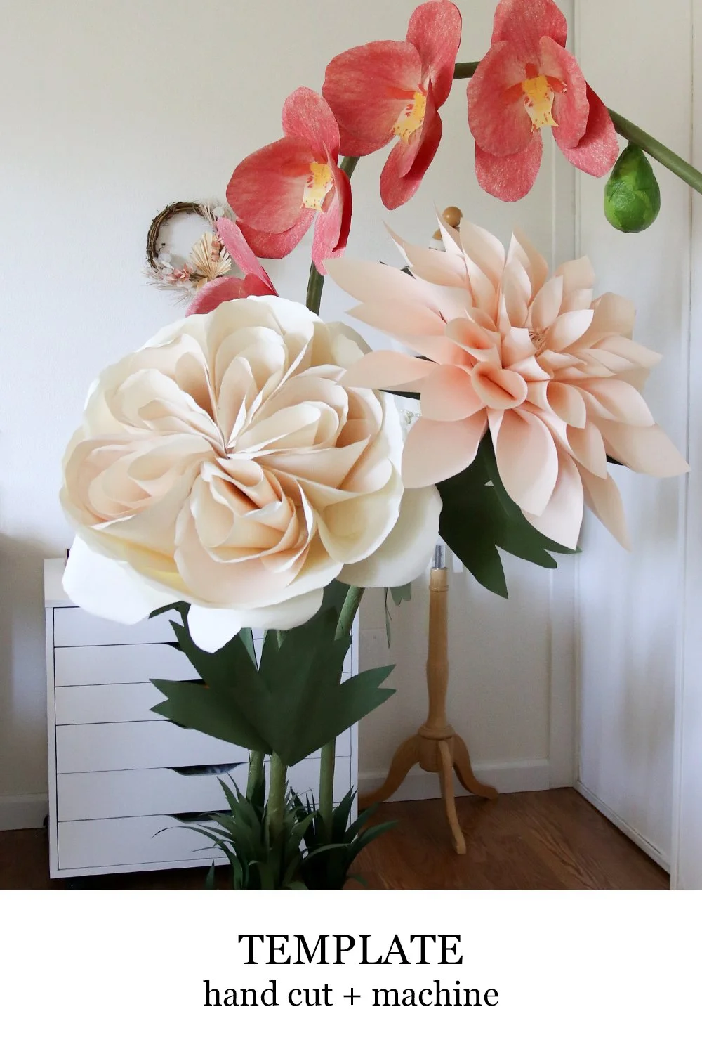 Giant Juliet Rose