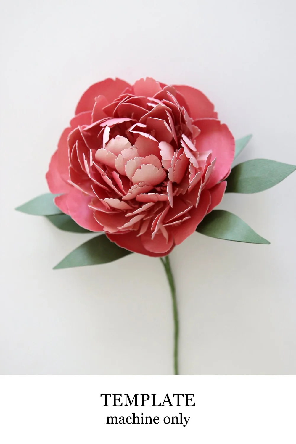 Peony Bomb Template