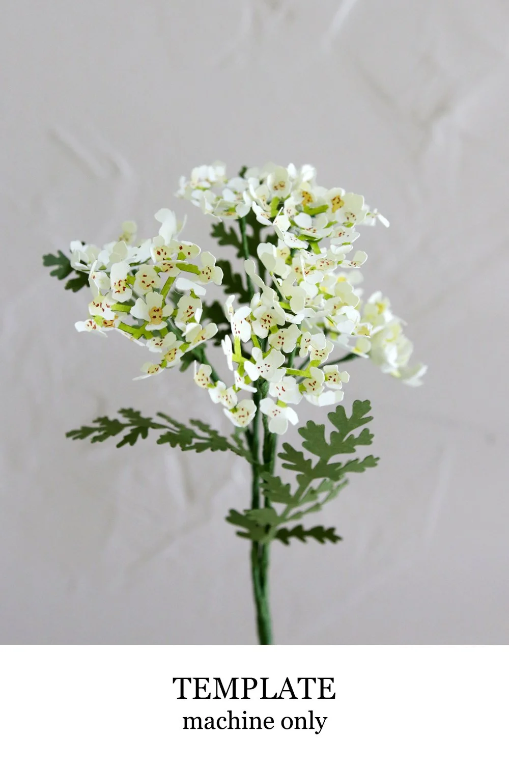 Yarrow Template
