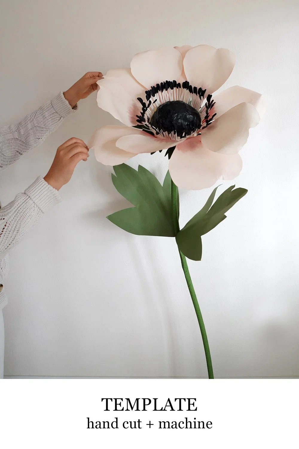 Giant Anemone