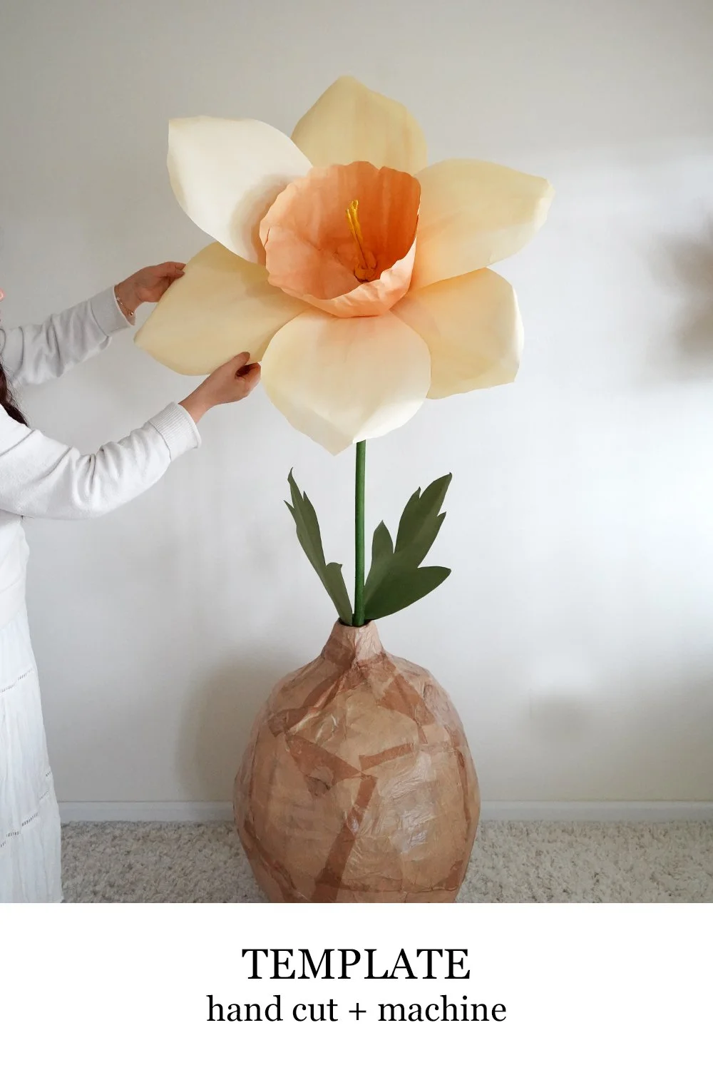 Giant Daffodil