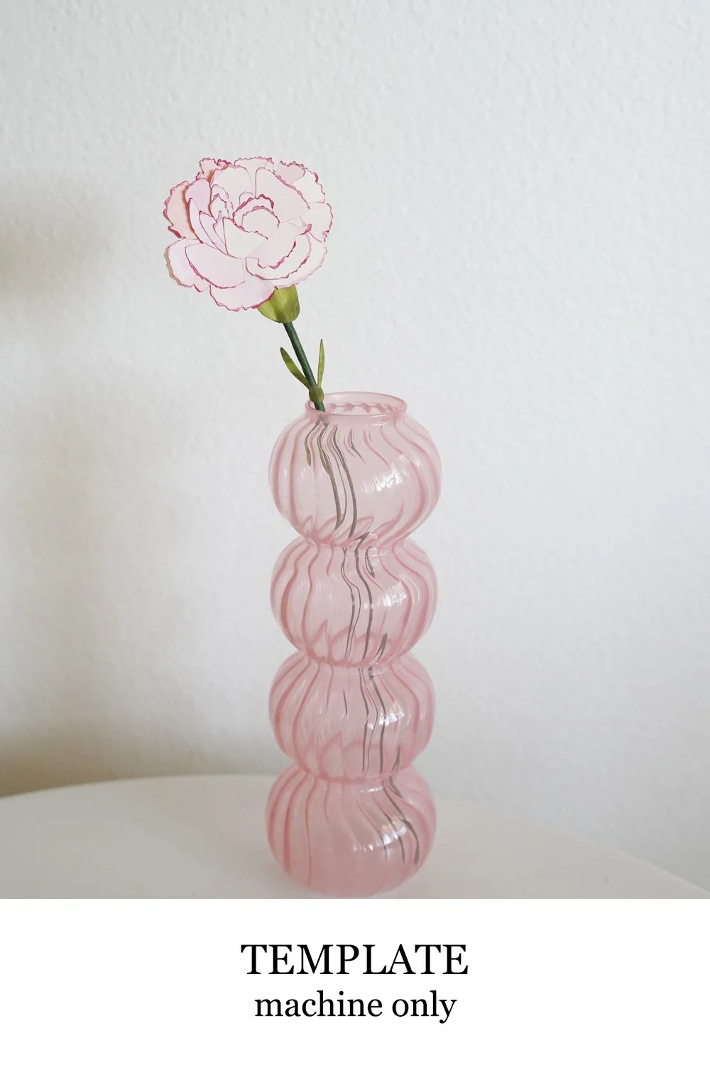 Carnation 2D