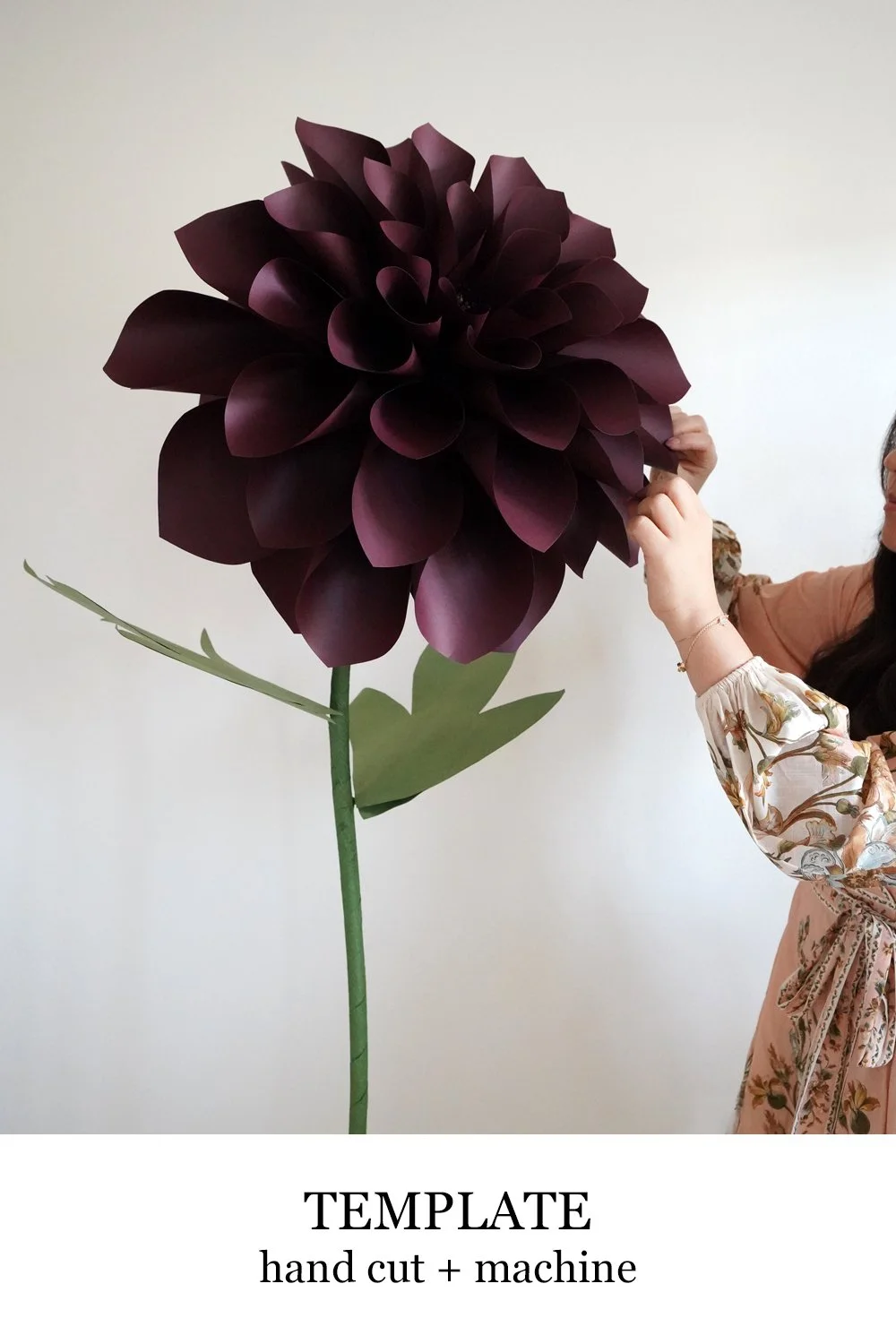 Giant Dahlia Ball