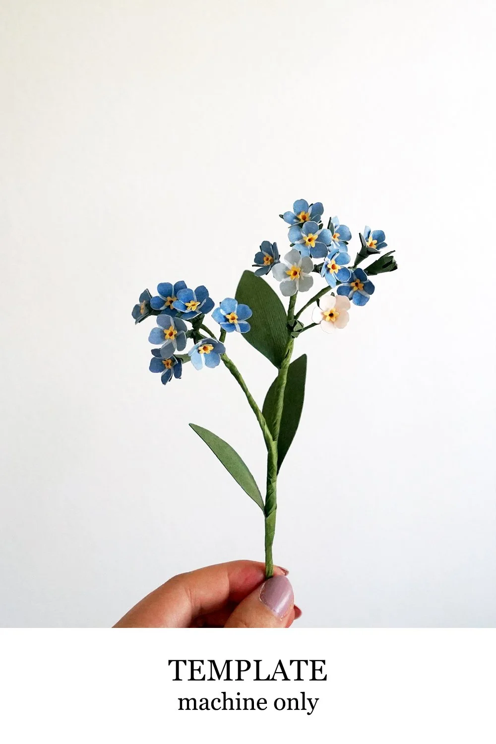Forget Me Not