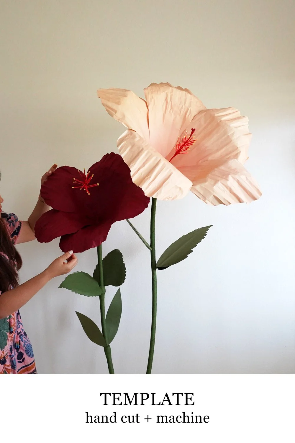 Giant Hibiscus