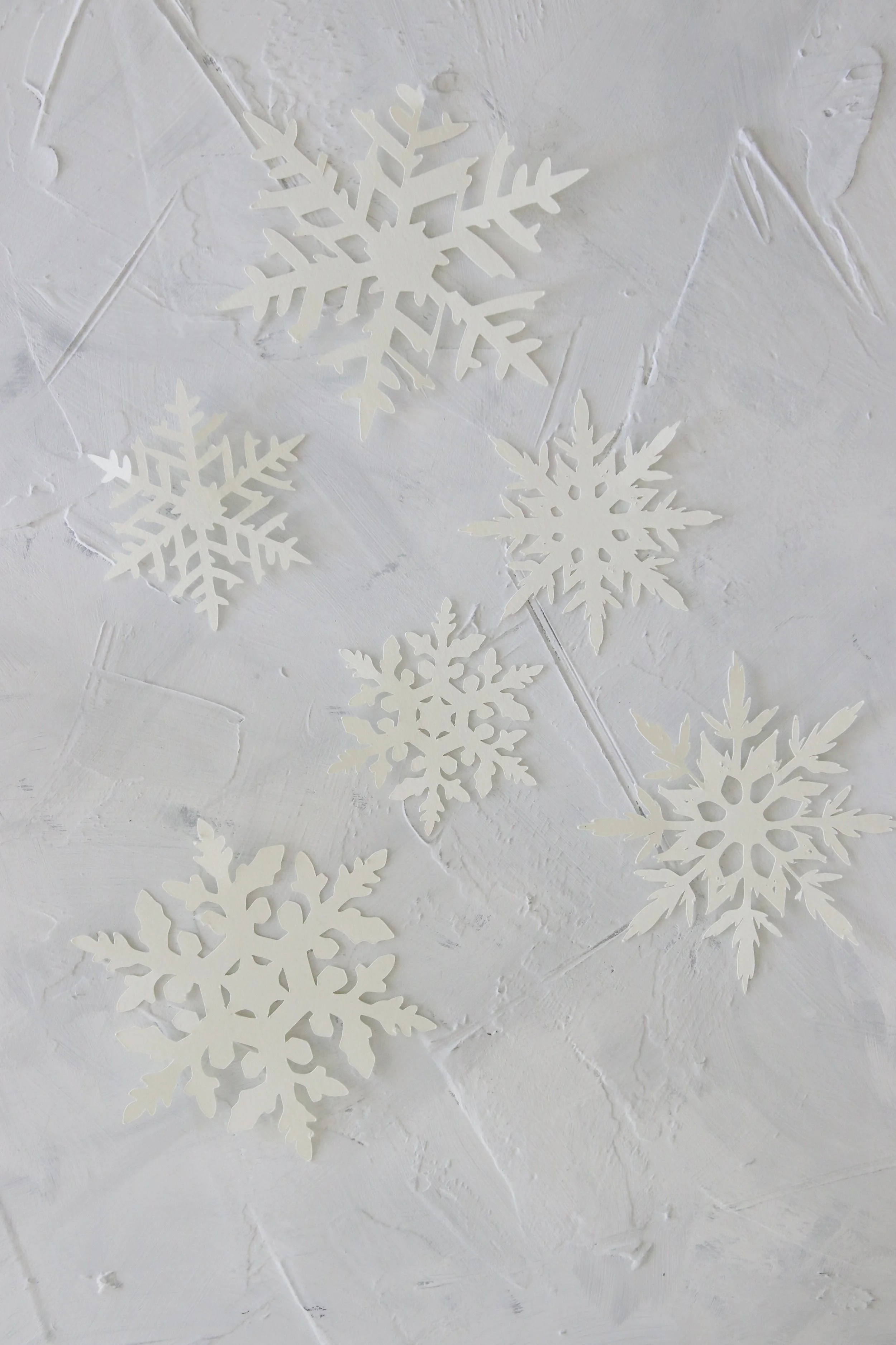 172B3068-DD9B-4856-9257-863066BD10C5 2.JPEG