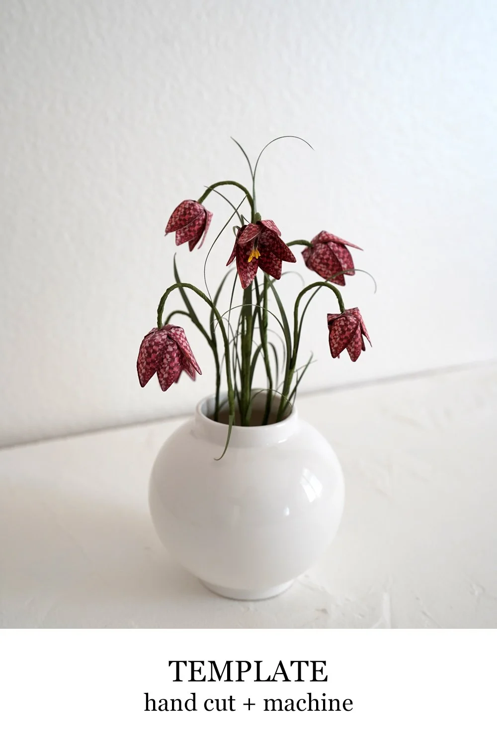 Checkered Lily Fritillaria