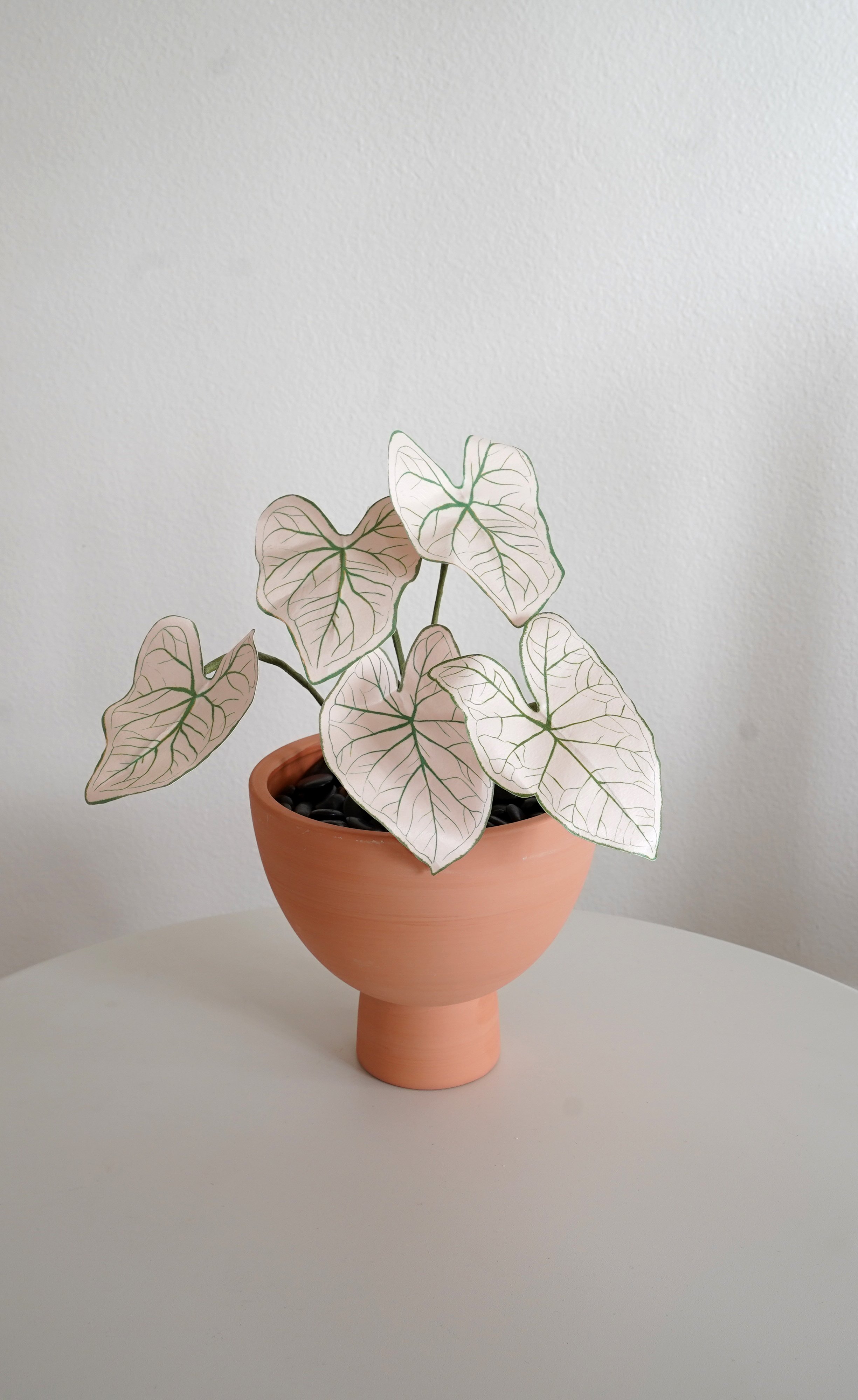 How to Make a Stunning Paper Caladium Plant for Your DIY Valentine’s Décor