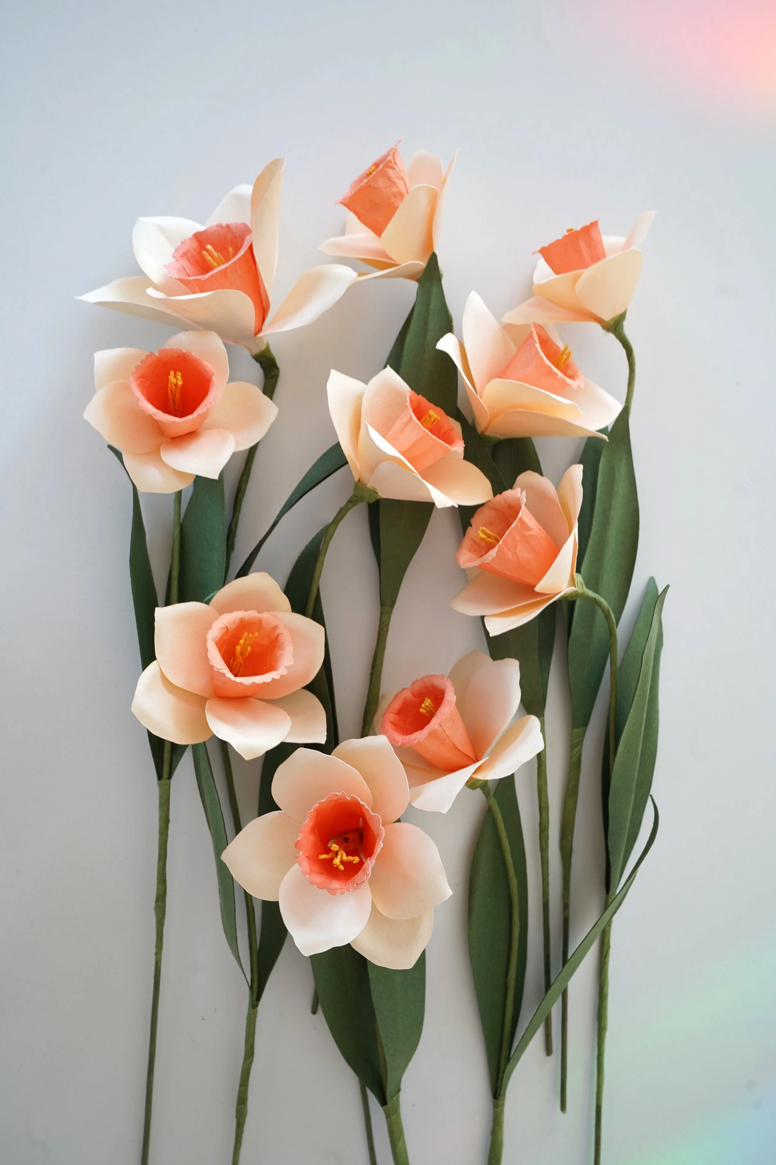 How to Make a Stunning Paper Daffodil