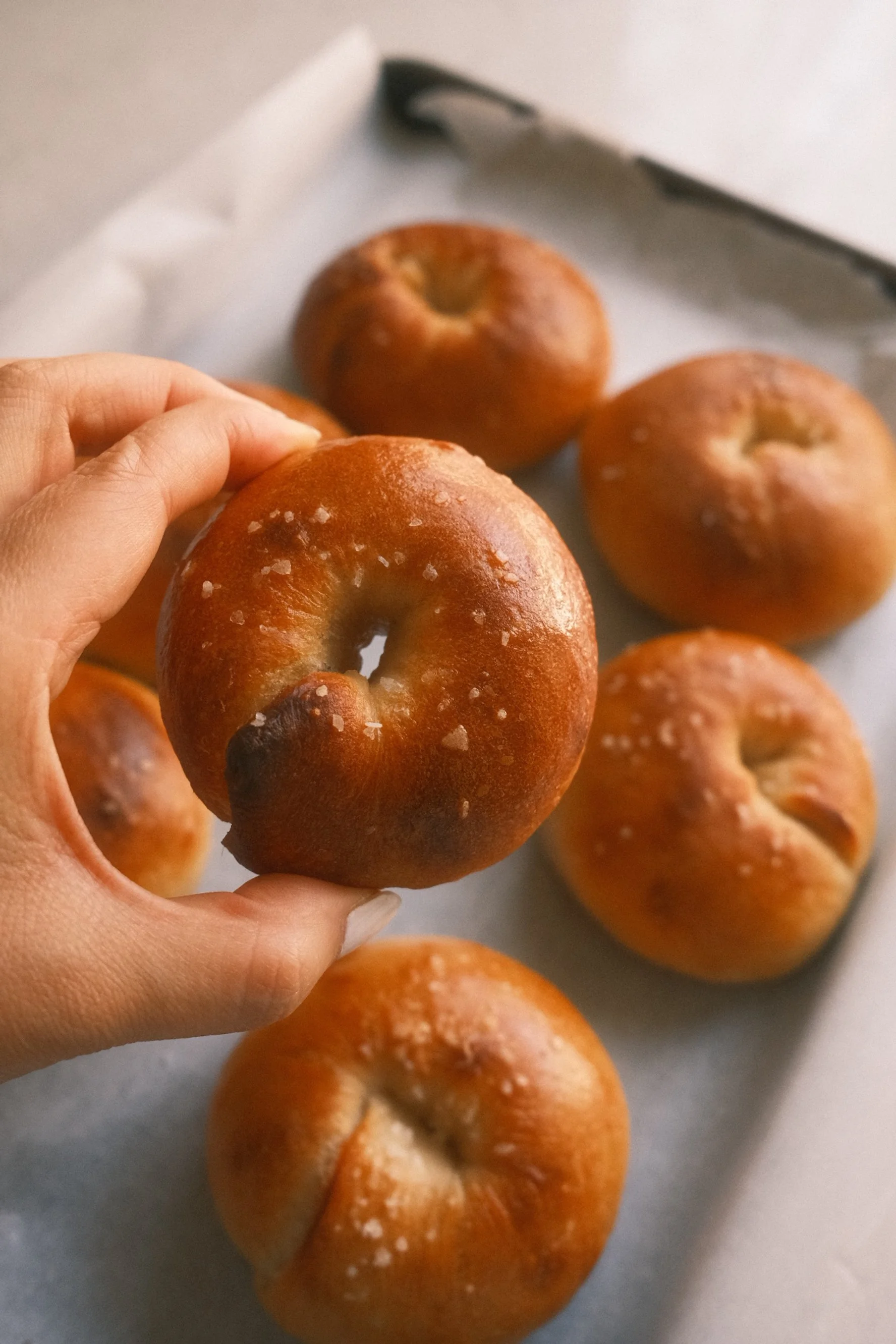 Japanese Sourdough Bagels