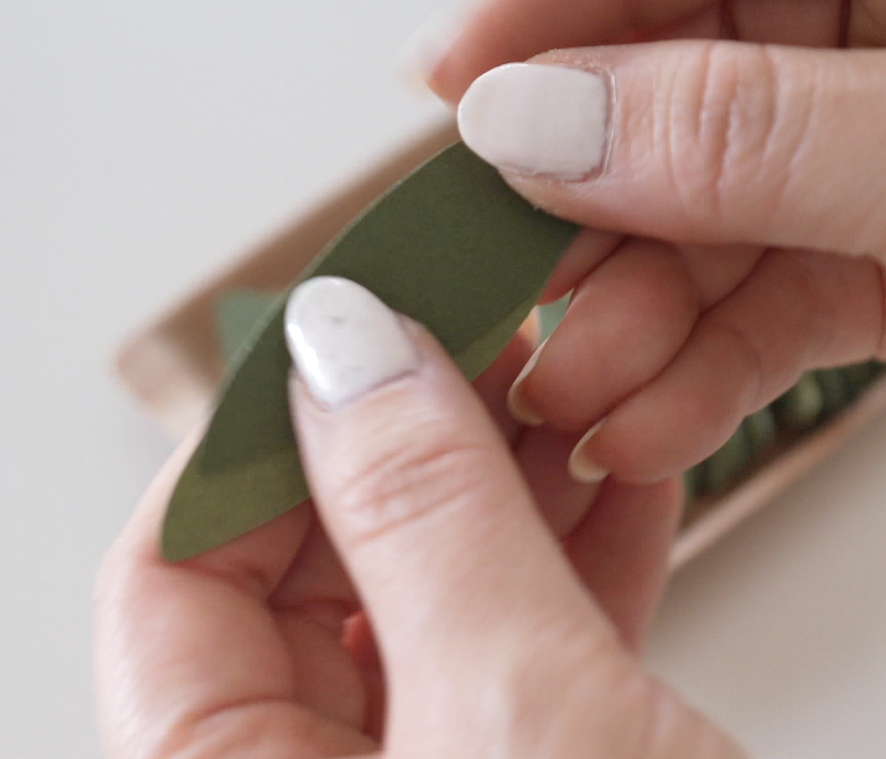 Screenshot 2026-02-18 at 8.41.14 PM.png