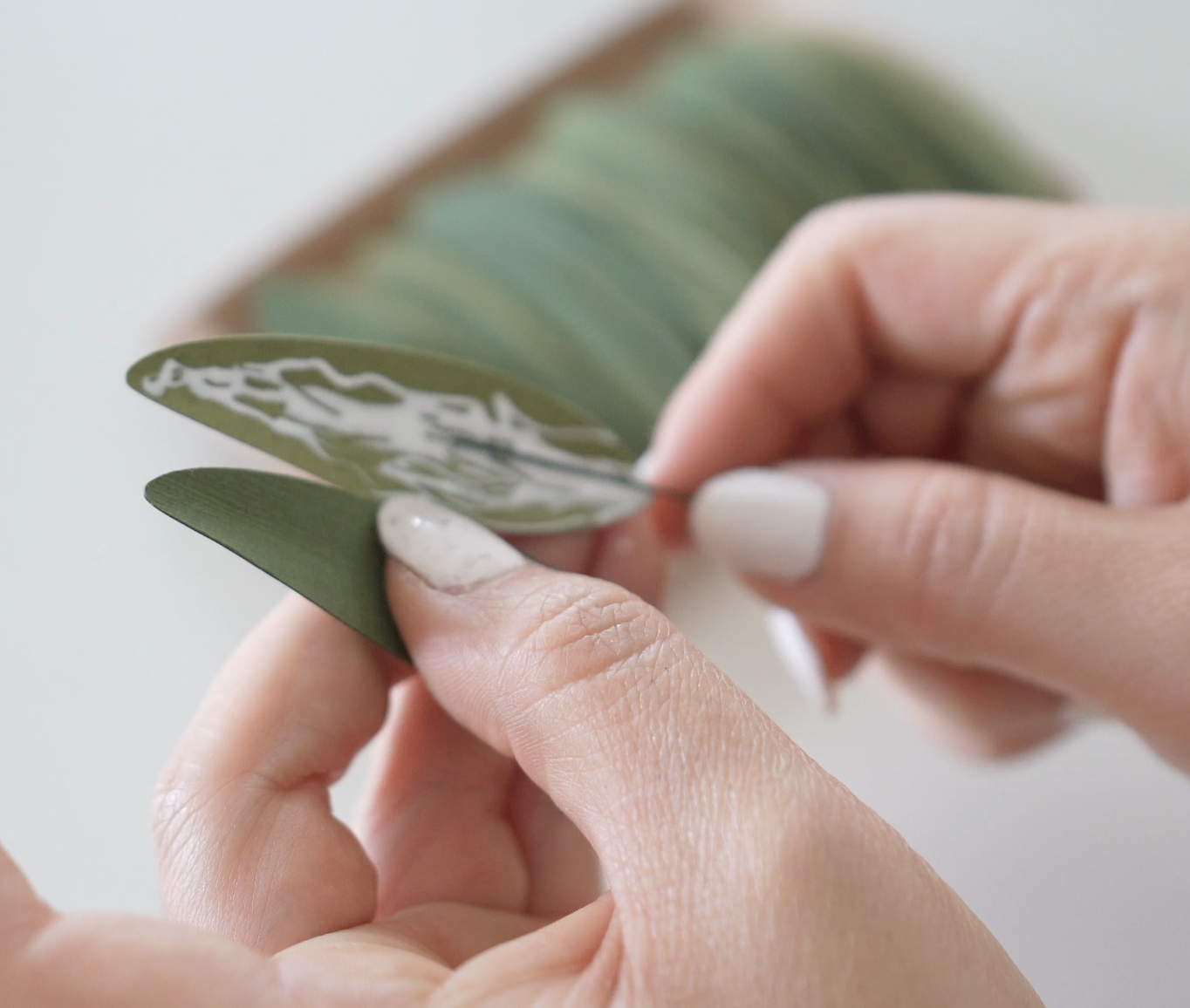 Screenshot 2026-02-18 at 8.41.29 PM.png