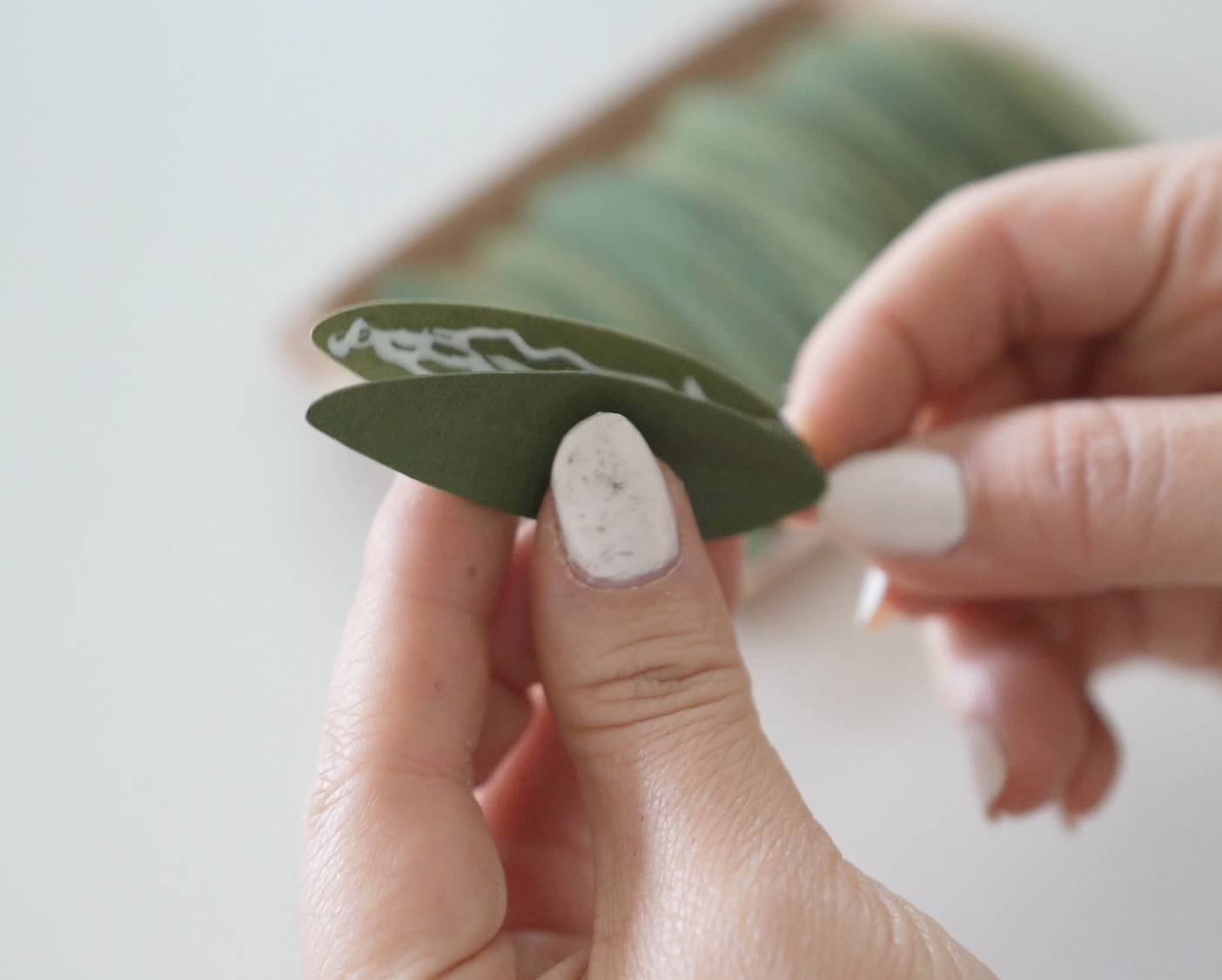 Screenshot 2026-02-18 at 8.41.46 PM.png