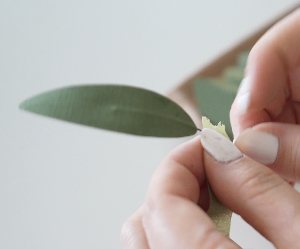 Screenshot 2026-02-18 at 8.42.04 PM.png