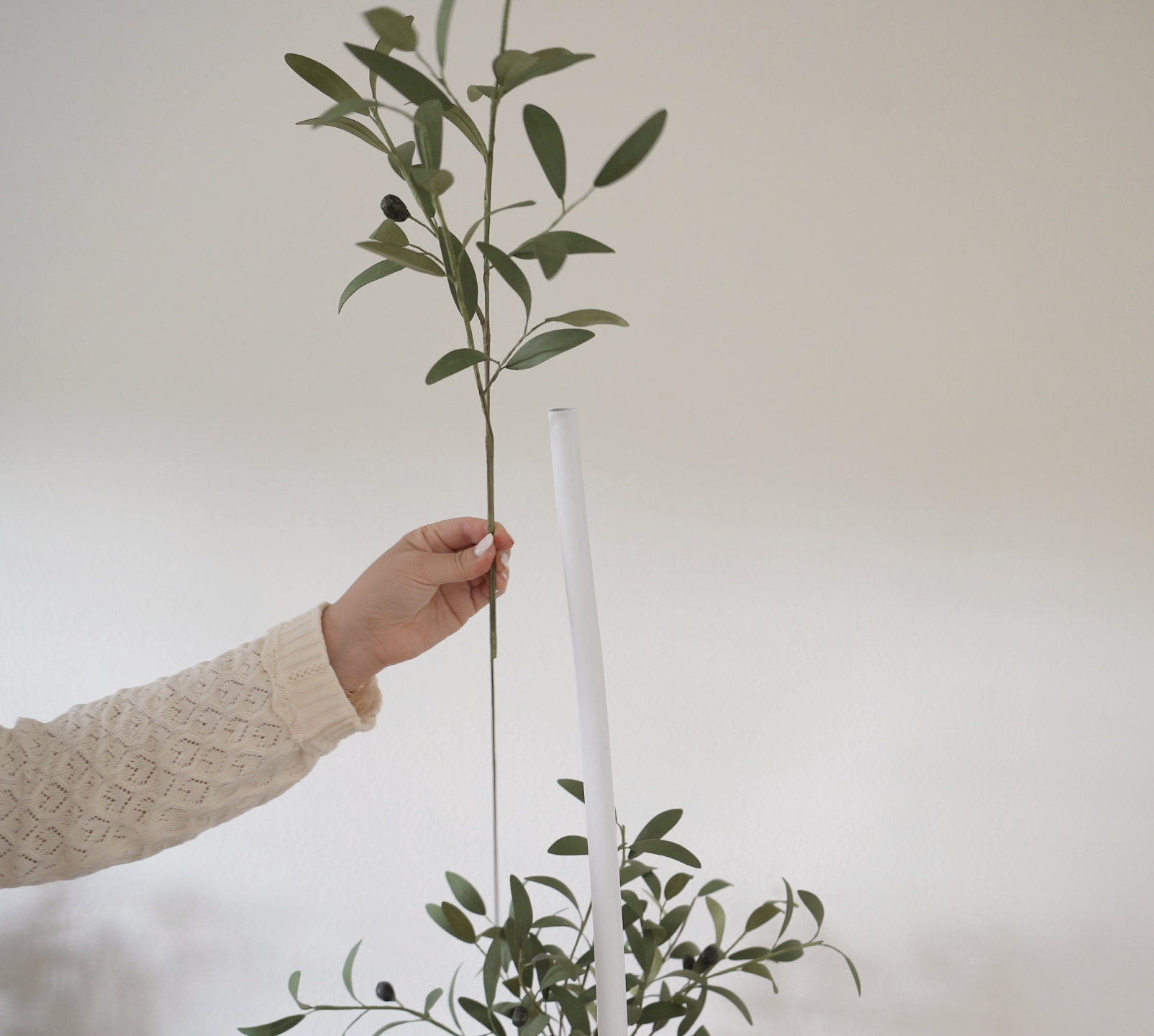 Screenshot 2026-02-18 at 8.50.29 PM.png