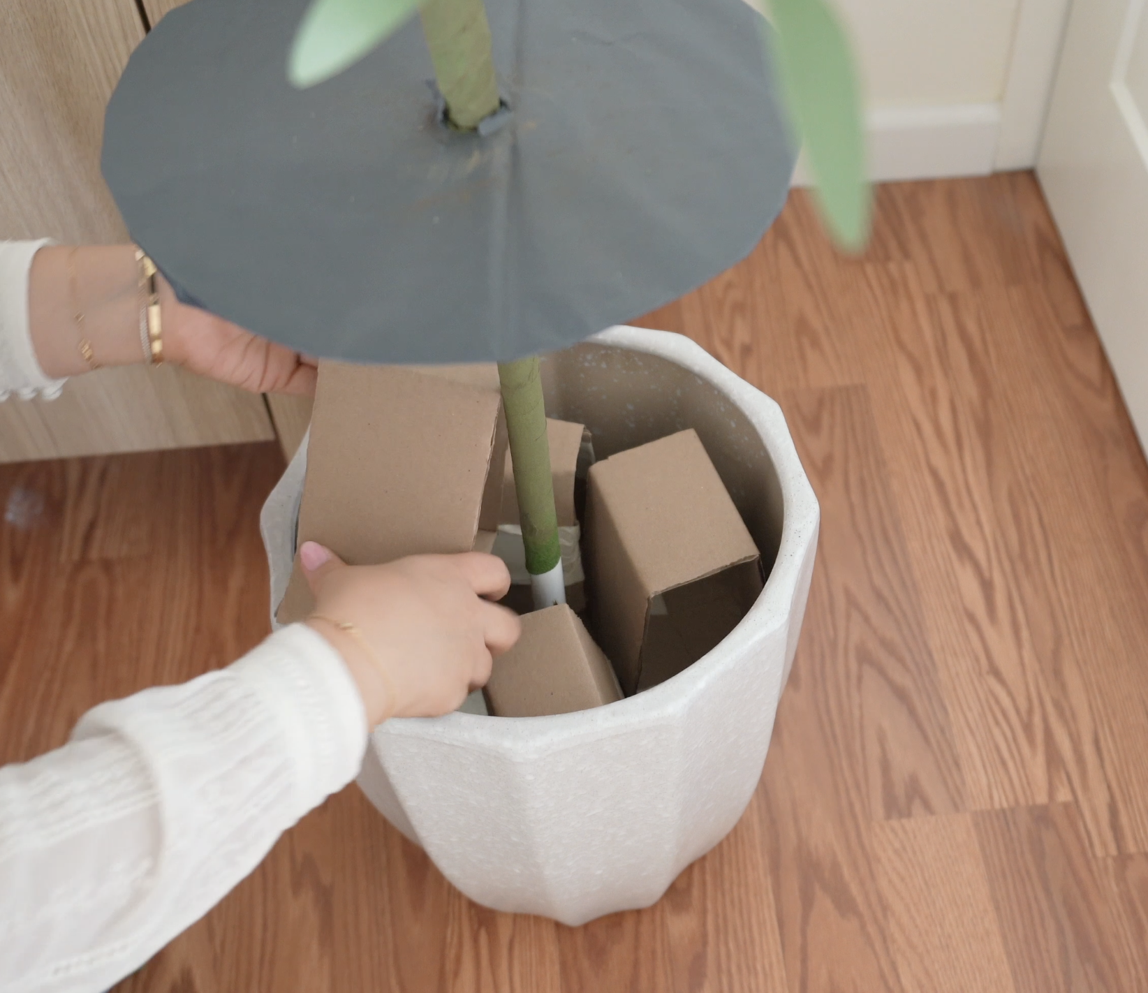 Screenshot 2026-02-18 at 8.54.08 PM.png