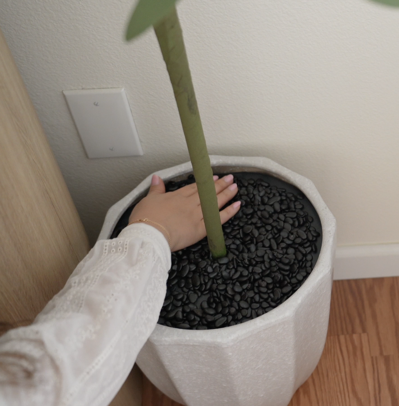 Screenshot 2026-02-18 at 8.54.22 PM.png