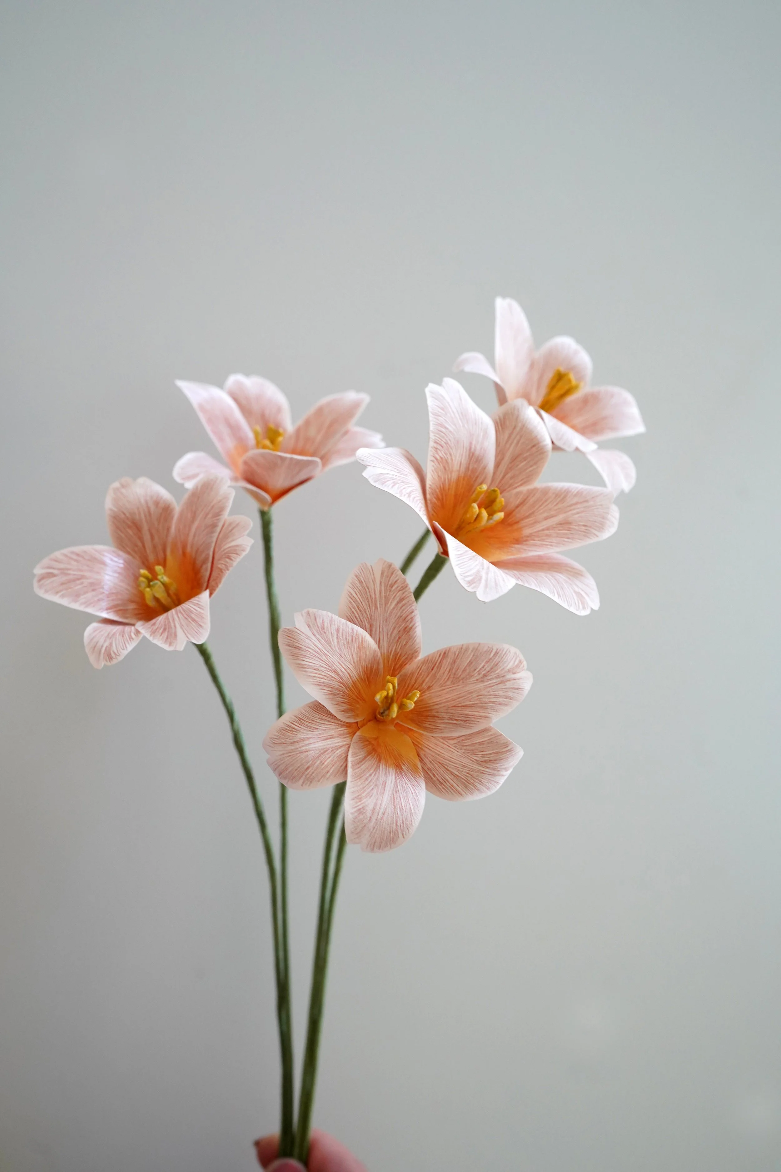 How to Make a Paper Tulip Brownie