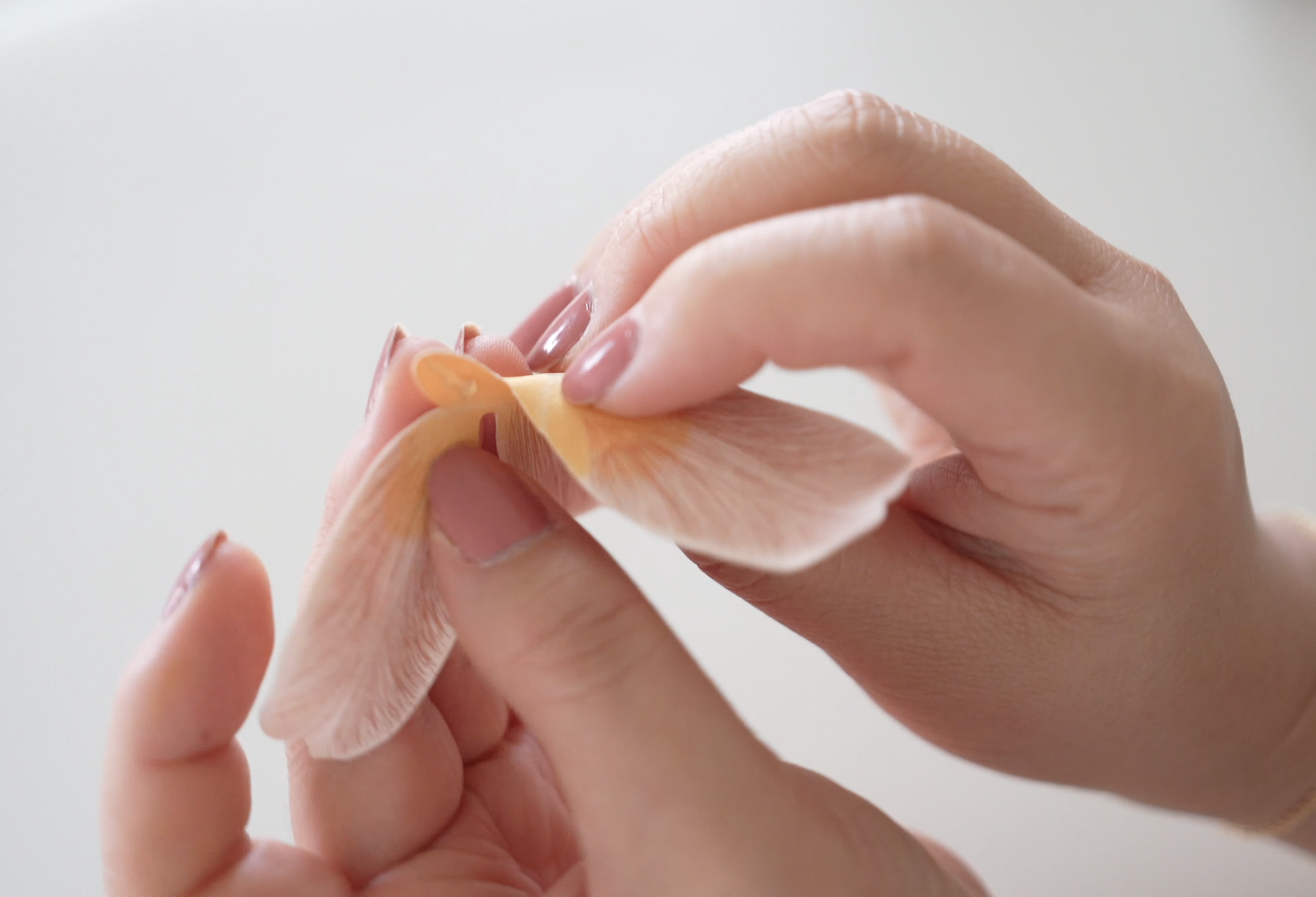 Screenshot 2026-04-15 at 9.06.27 PM.png