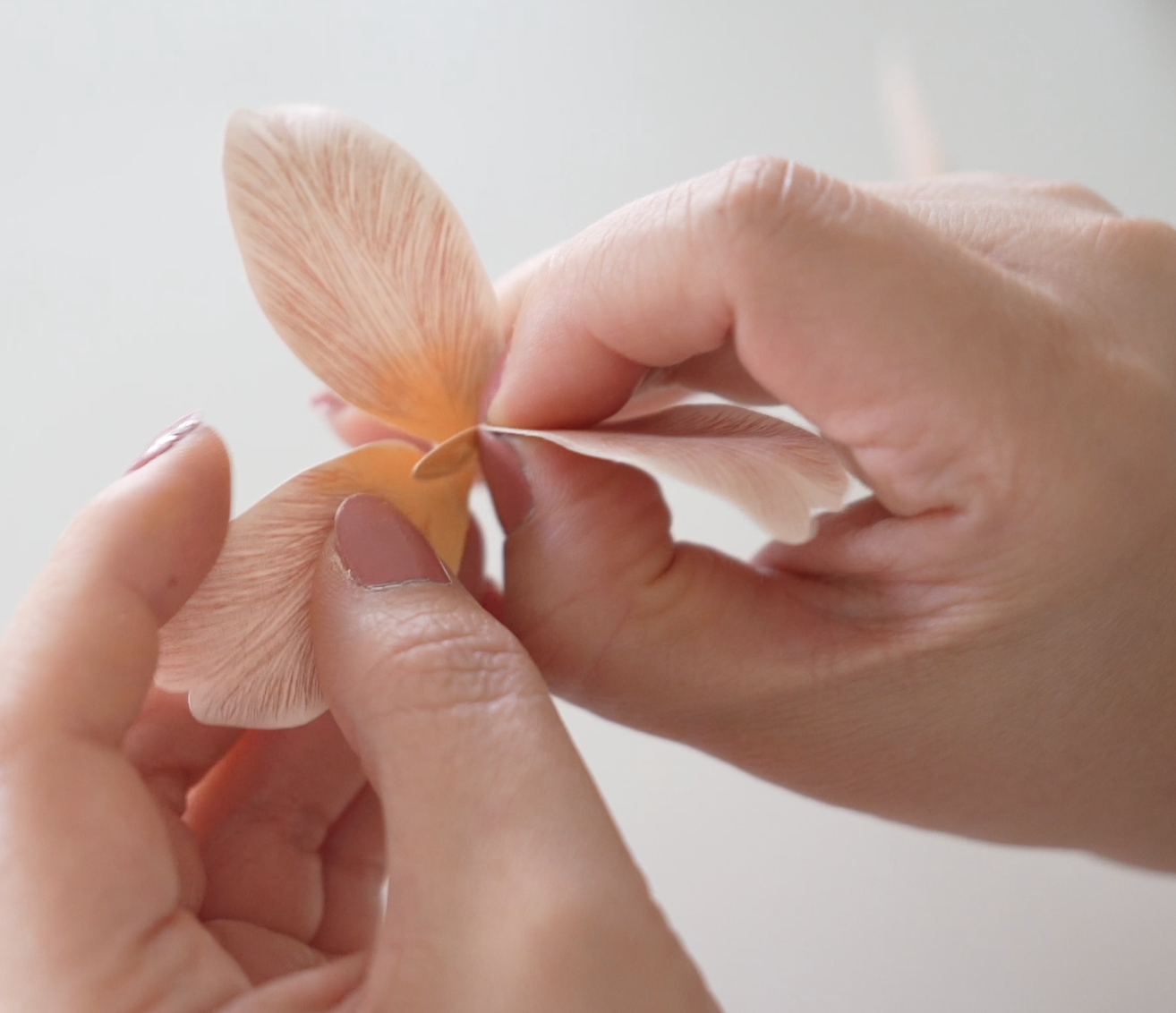 Screenshot 2026-04-15 at 9.06.55 PM.png