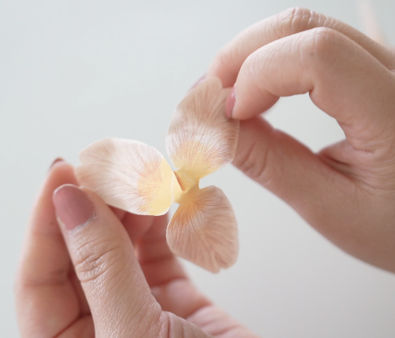 Screenshot 2026-04-15 at 9.07.05 PM.png