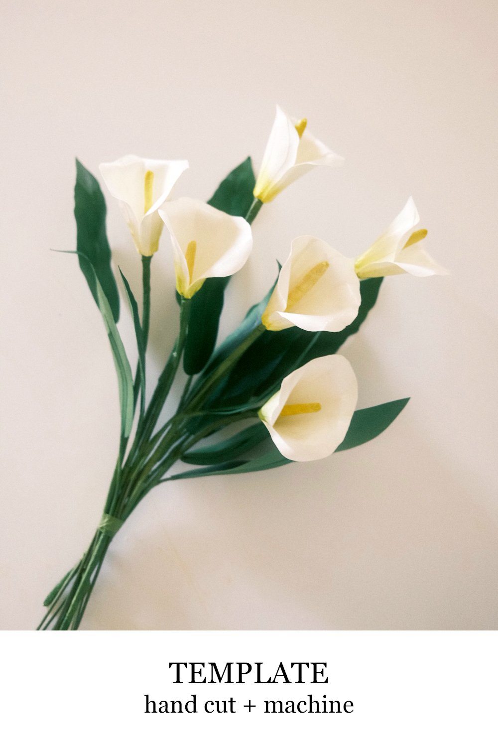 Calla Lily