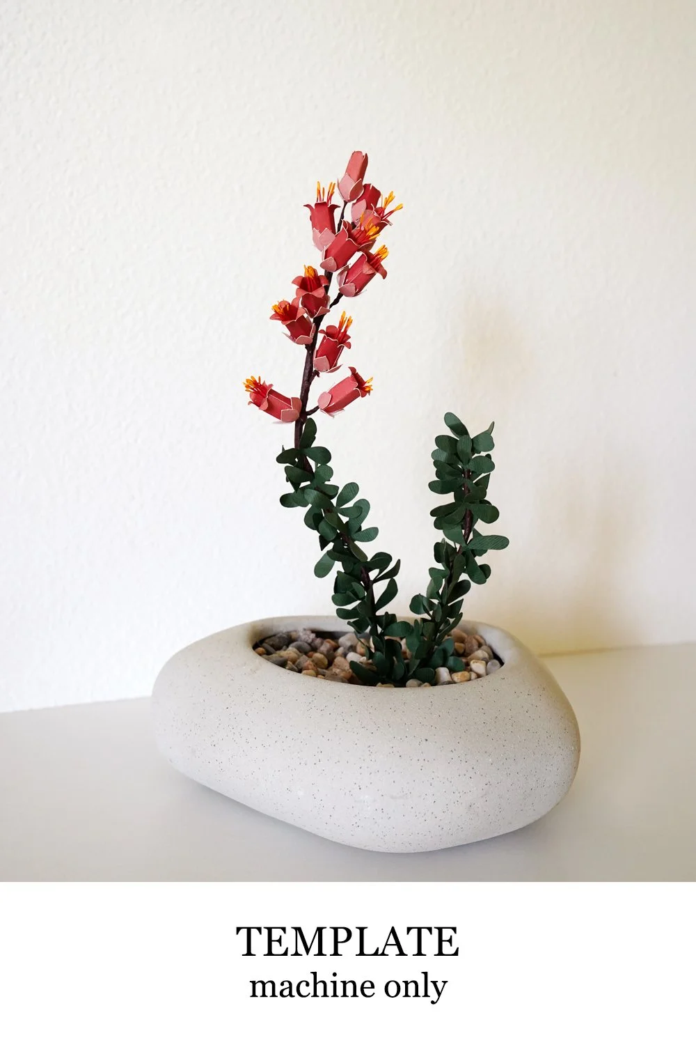 paper ocotillo template.jpg