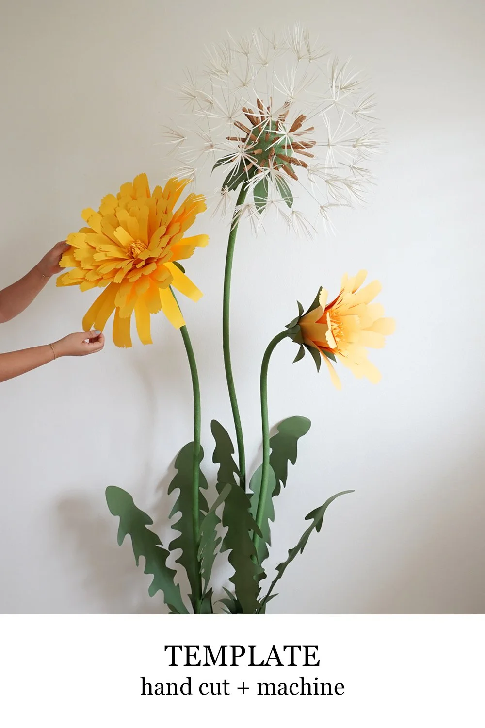Giant Dandelion Flower