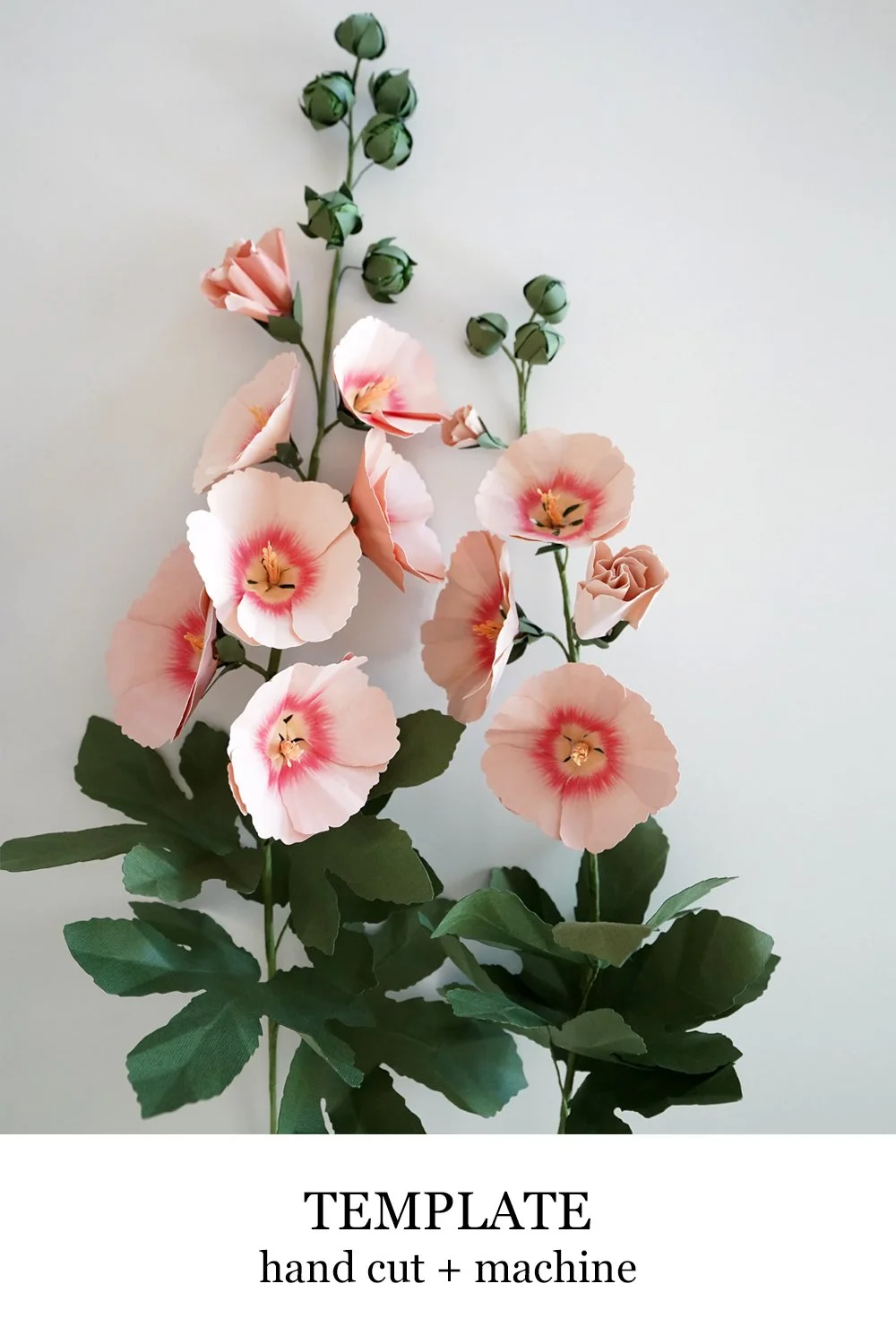 Hollyhock