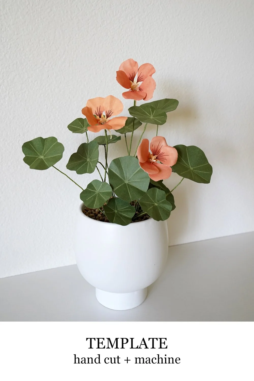 nasturtium template.jpg